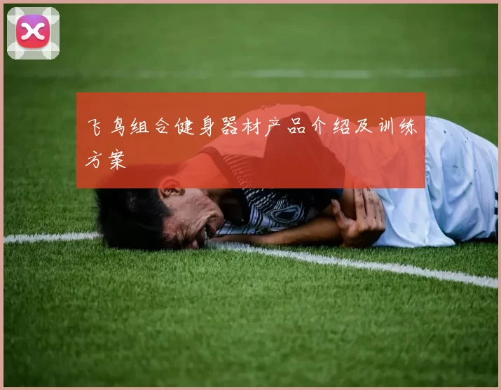 飞鸟组合健身器材产品介绍及训练方案