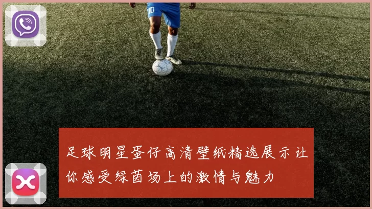 足球明星蛋仔高清壁纸精选展示让你感受绿茵场上的激情与魅力