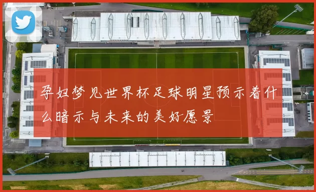 孕妇梦见世界杯足球明星预示着什么暗示与未来的美好愿景