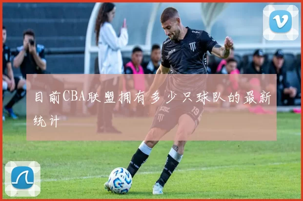 目前CBA联盟拥有多少只球队的最新统计