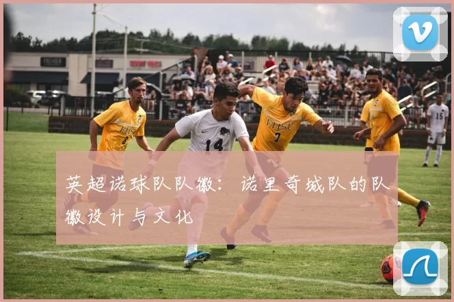 英超诺球队队徽：诺里奇城队的队徽设计与文化