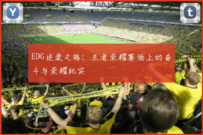 EDG逆袭之路：王者荣耀赛场上的奋斗与荣耀纪实