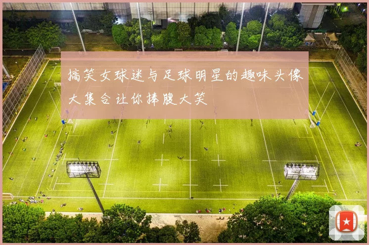 搞笑女球迷与足球明星的趣味头像大集合让你捧腹大笑