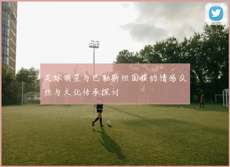 足球明星与巴勒斯坦国旗的情感交织与文化传承探讨