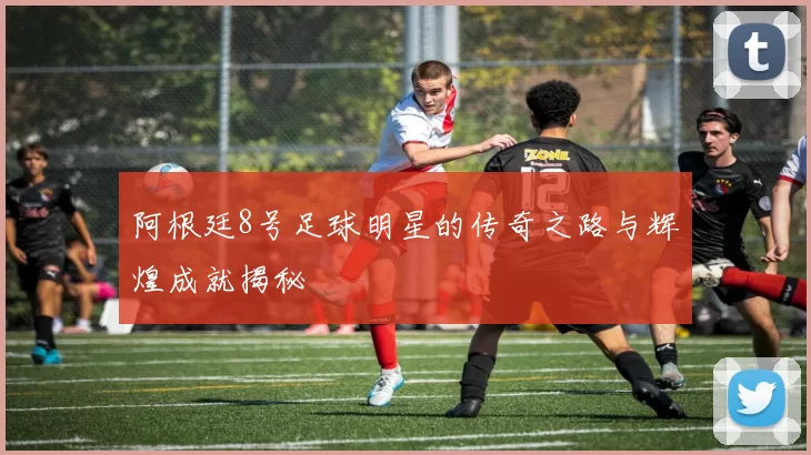 阿根廷8号足球明星的传奇之路与辉煌成就揭秘