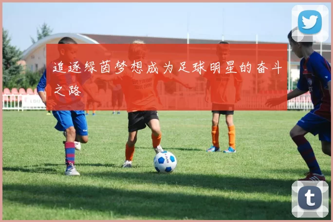 追逐绿茵梦想成为足球明星的奋斗之路
