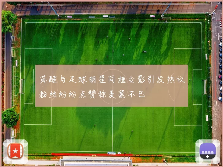 苏醒与足球明星同框合影引发热议粉丝纷纷点赞称羡慕不已