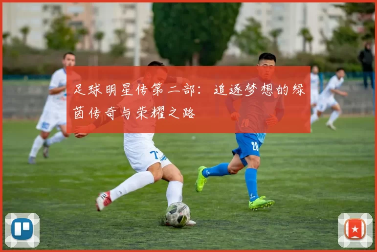 足球明星传第二部：追逐梦想的绿茵传奇与荣耀之路
