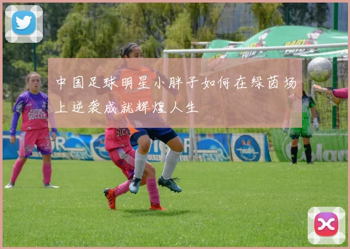 中国足球明星小胖子如何在绿茵场上逆袭成就辉煌人生
