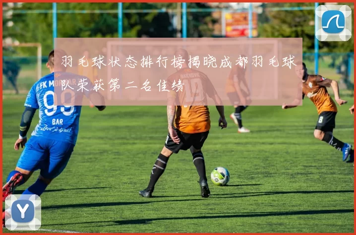羽毛球状态排行榜揭晓成都羽毛球队荣获第二名佳绩