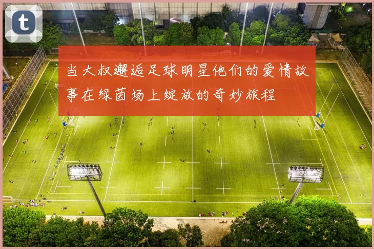 当大叔邂逅足球明星他们的爱情故事在绿茵场上绽放的奇妙旅程