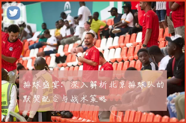 排球盛宴：深入解析北京排球队的默契配合与战术策略