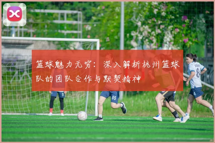 篮球魅力无穷：深入解析杭州篮球队的团队合作与默契精神