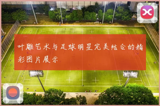 叶雕艺术与足球明星完美结合的精彩图片展示
