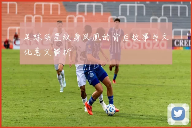 足球明星纹身凤凰的背后故事与文化意义解析