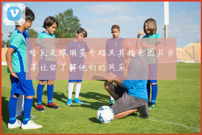 哈瓦足球明星介绍及其精彩图片分享让你了解他们的风采