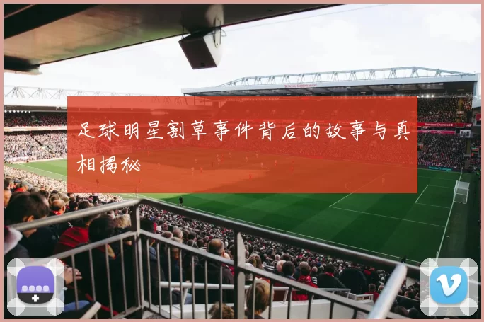 足球明星割草事件背后的故事与真相揭秘