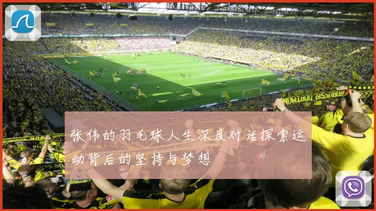 张伟的羽毛球人生深度对话探索运动背后的坚持与梦想